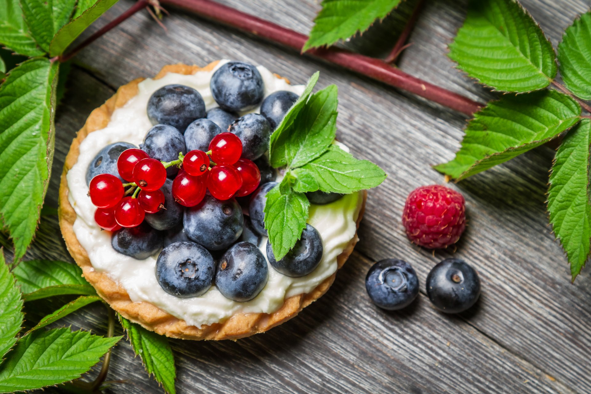 köstliches dessert beerenkuchen minzblätter himbeerblätter fruchtkuchen minzblätter