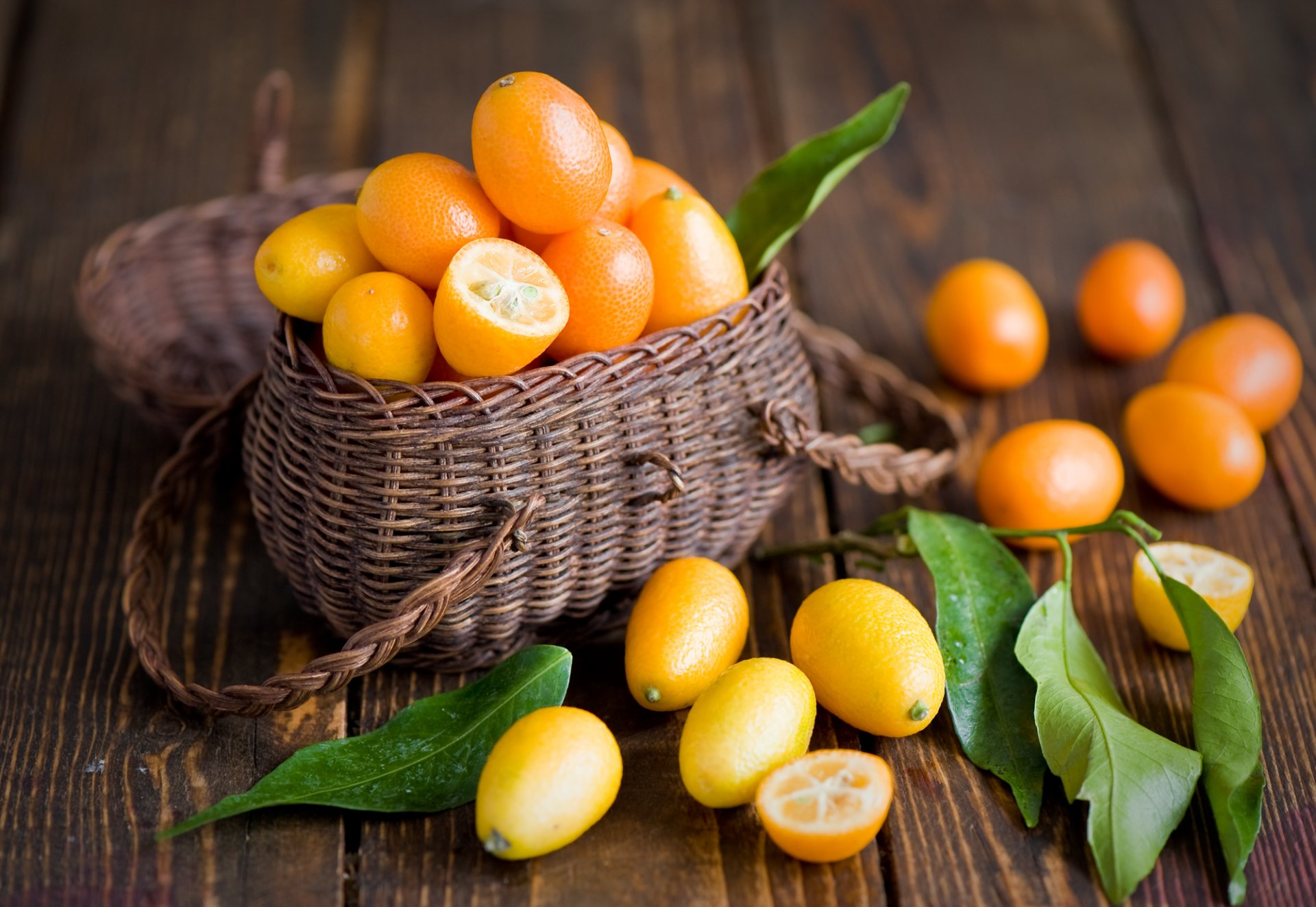 kumquat zitrusfrüchte früchte orange blätter korb anna verdina