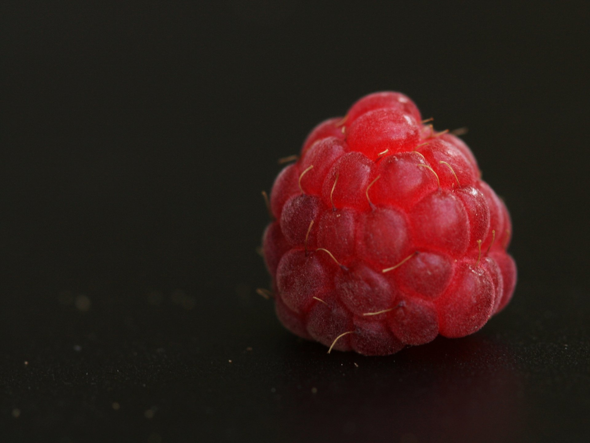 baie rouge framboise fond sombre