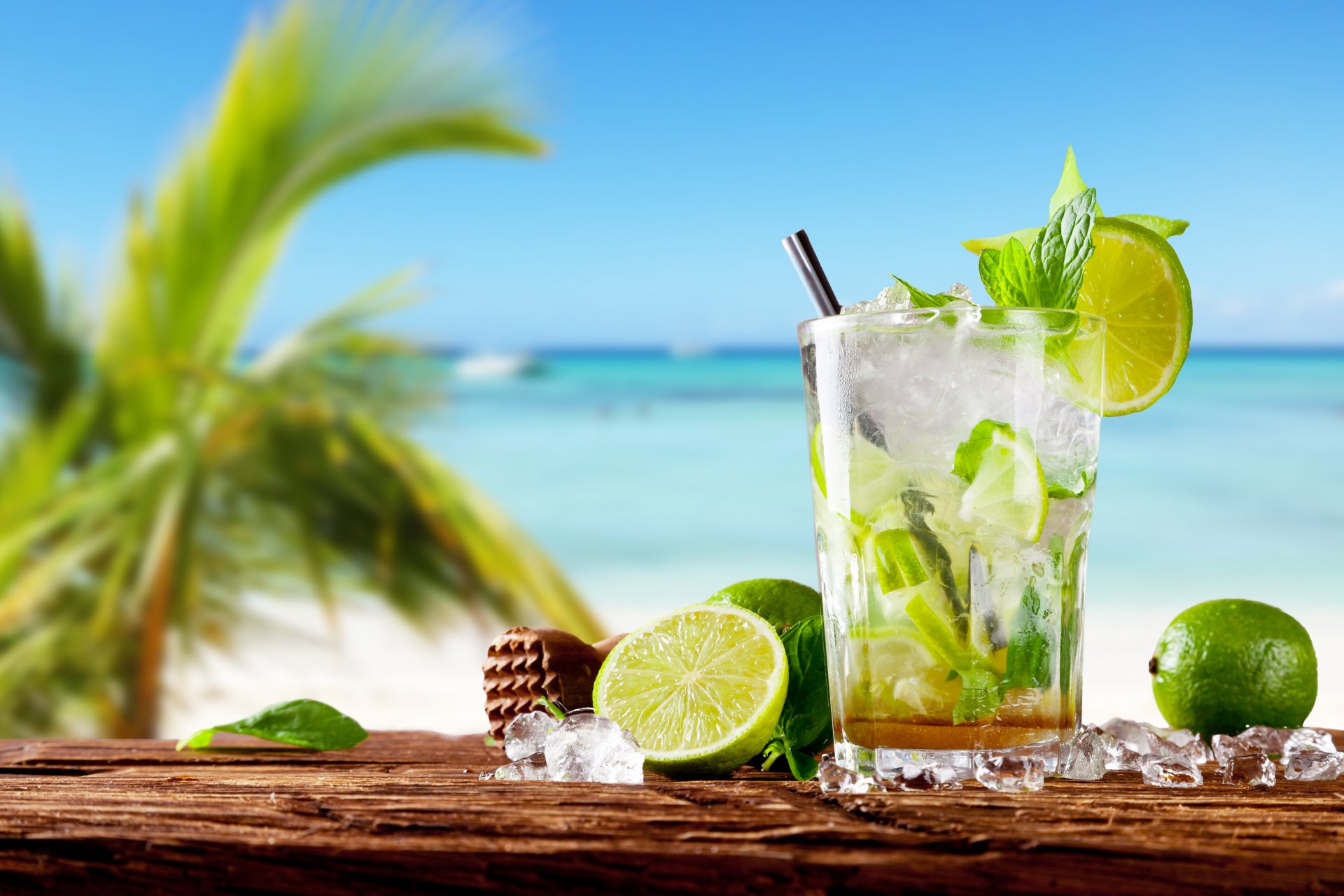 tropical cocktail mojito drink lime fresh sea lima