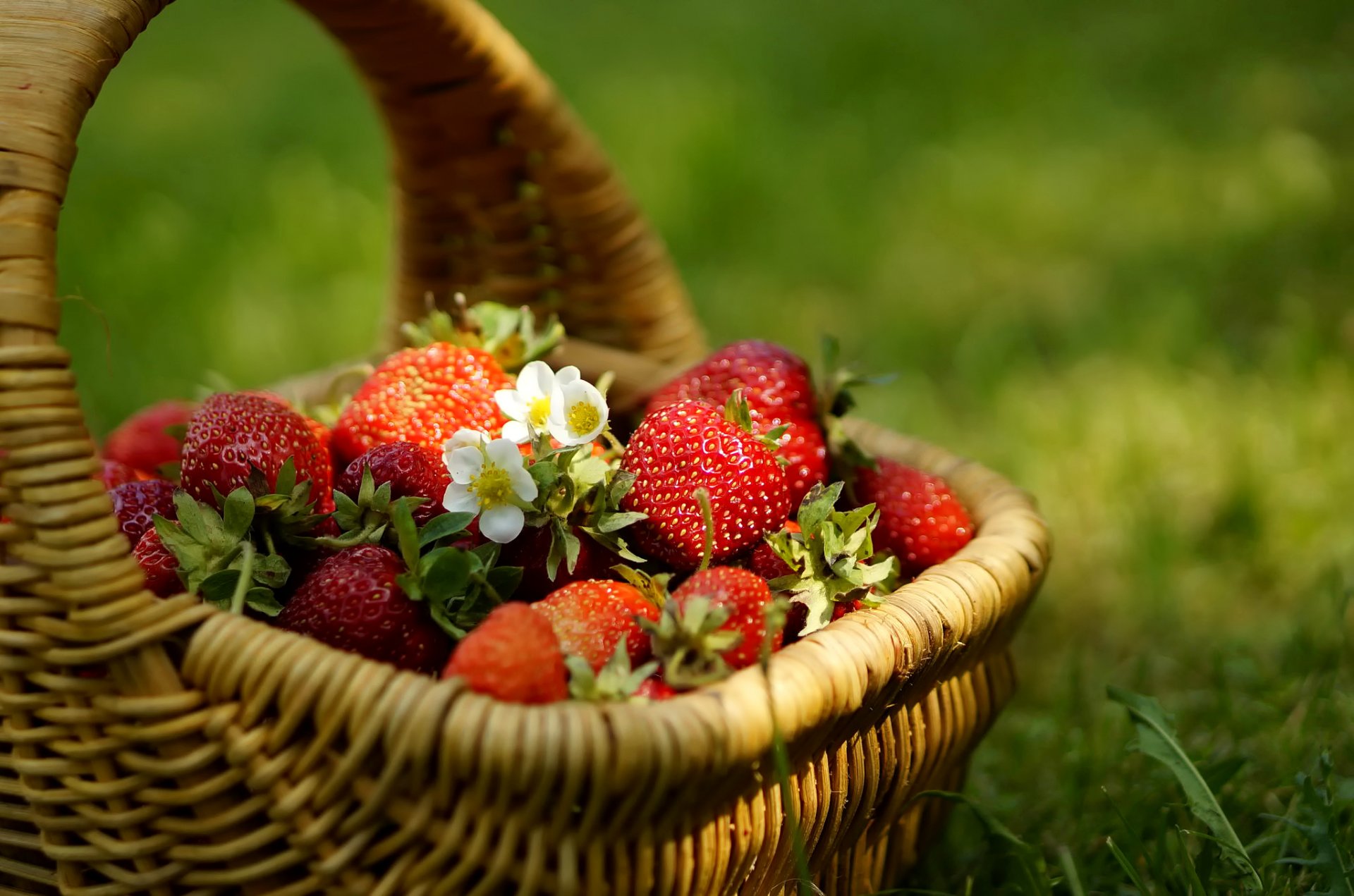 trawberry berries flowers basket gra