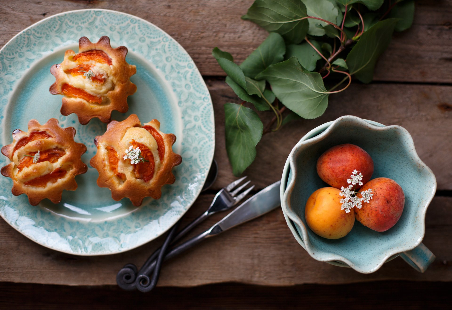 cupcakes baking apricots fruits sweet table branch julia khusainova