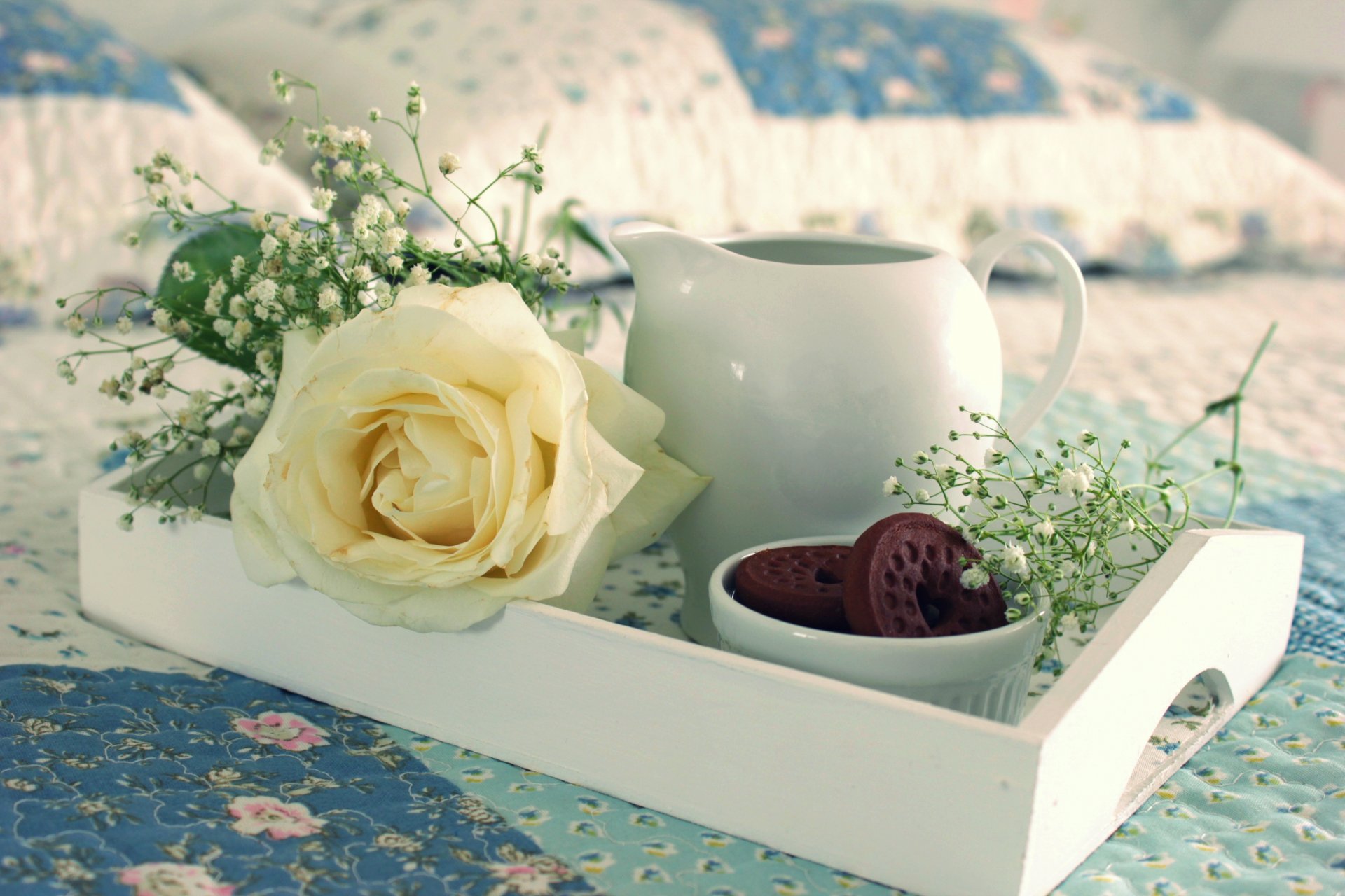 food rose cake sweet biscuits cookies cup tea food cakes sweets cup