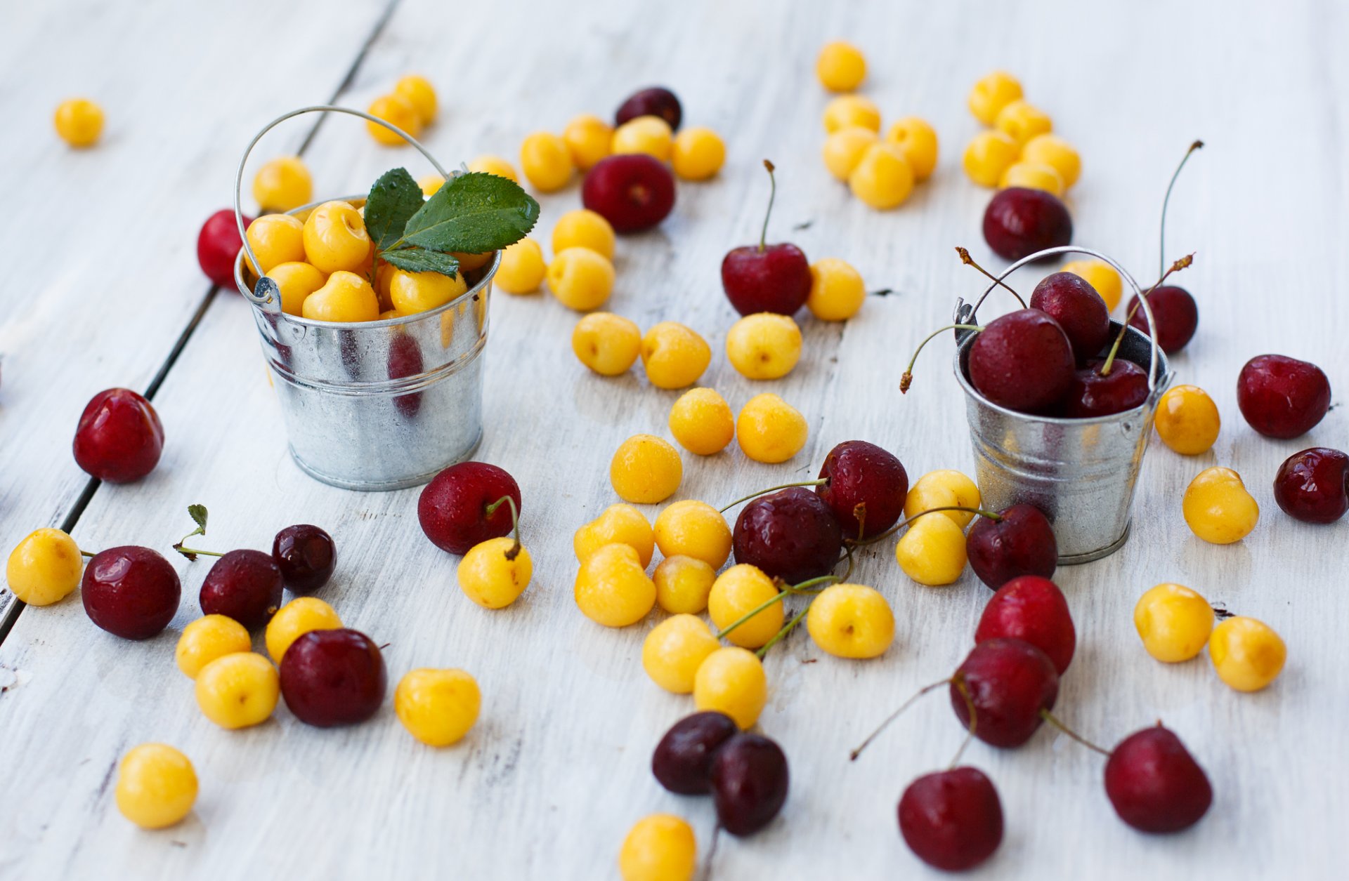 cherries cherries berries yellow red buckets julia husainova