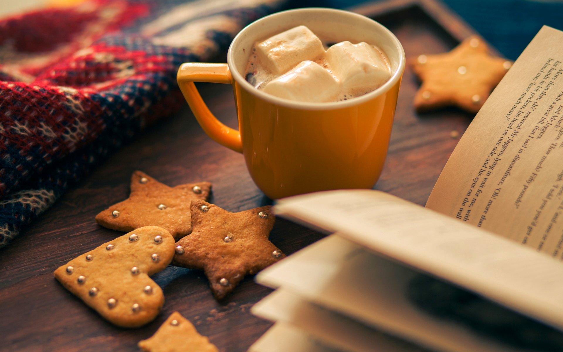 biscuits hiver loisirs étoile tasse repas coeur cacao livre vacances hiver