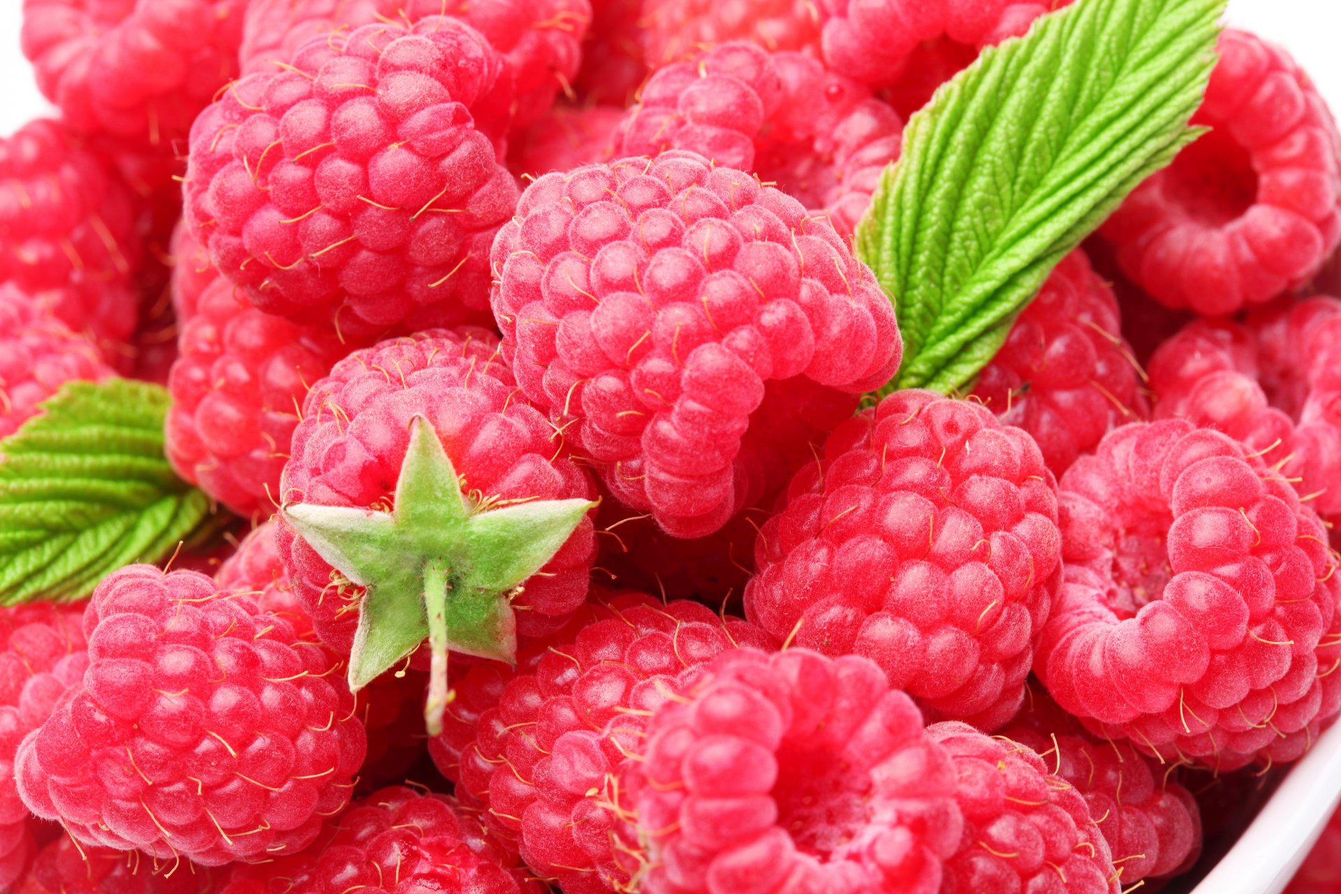 fresh berries raspberry