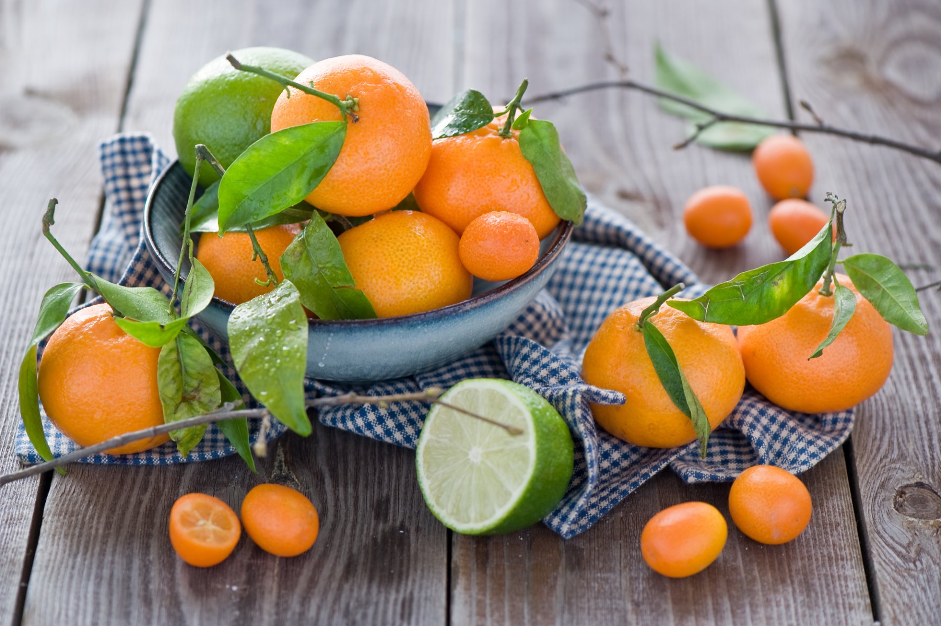 mandarinen limette kumquat zitrusfrüchte obst teller blätter anna verdina