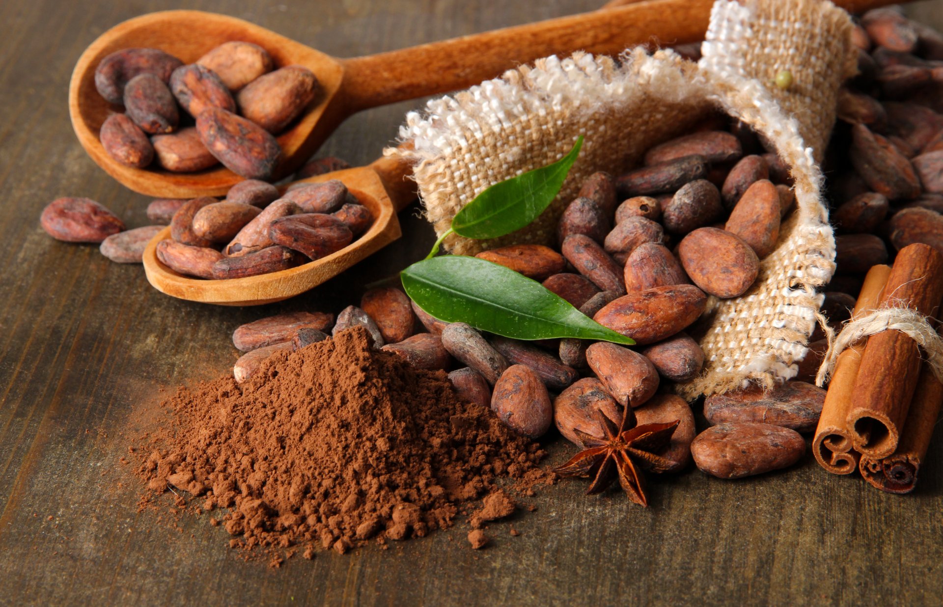 of the blade cocoa beans leaves star anise cinnamon