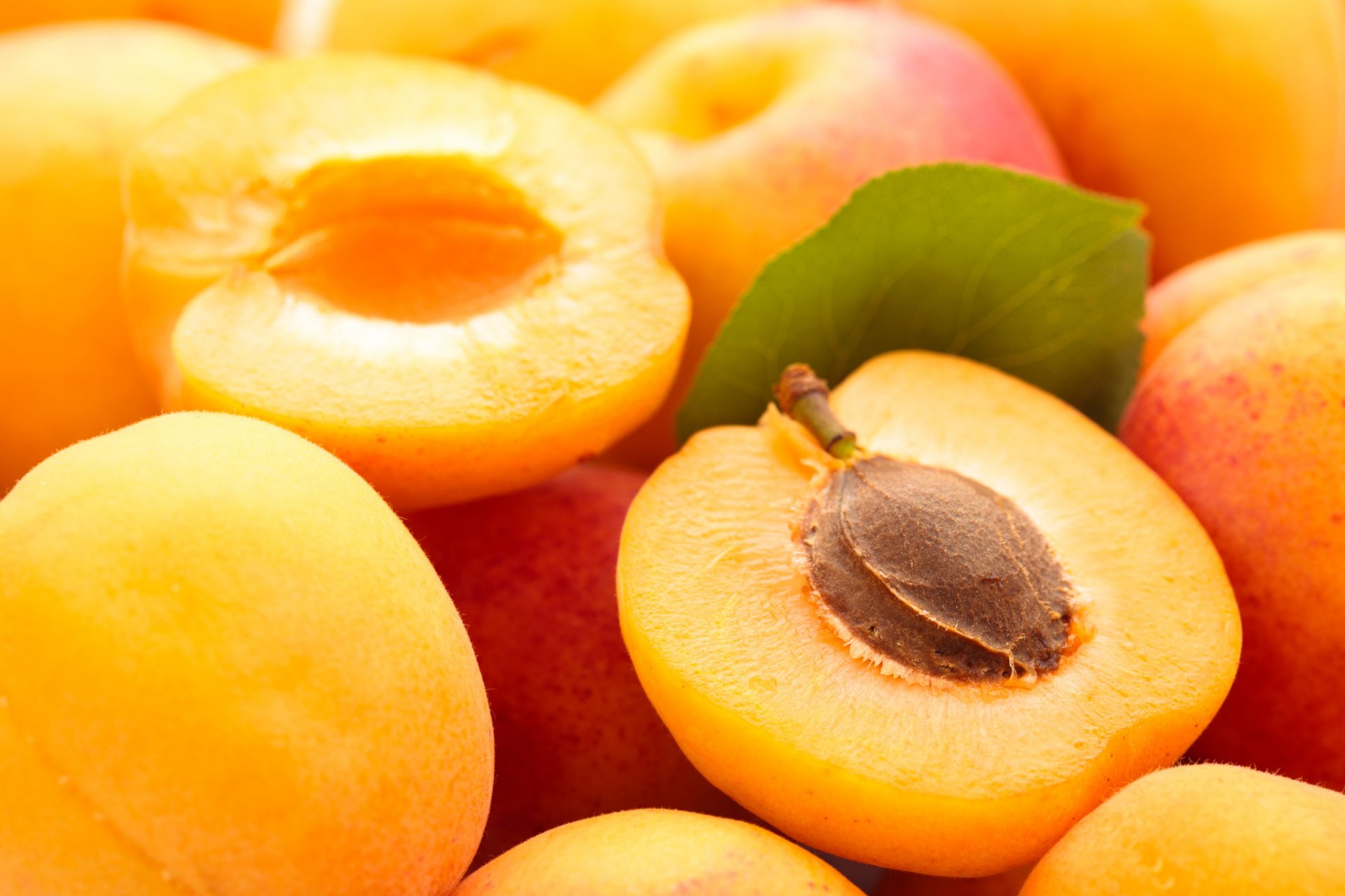 fruits apricot close up summer