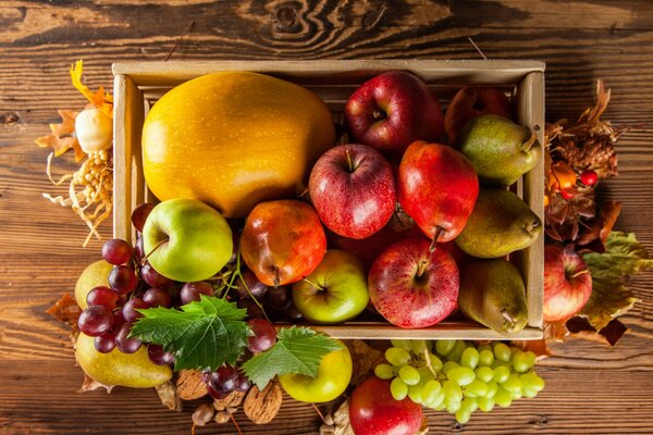 Collage d automne de fruits et de baies