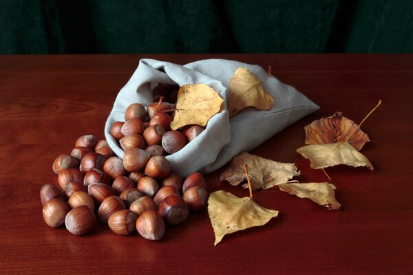 Acorns in a bag. Autumn leaves