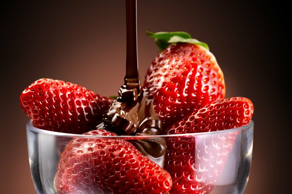 Cream bowl with strawberries in chocolate