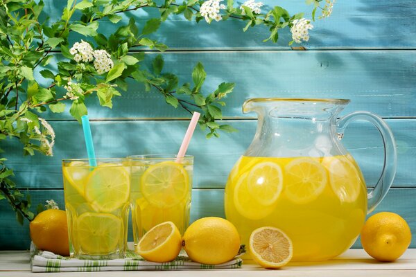 Stillleben Zitronen Limonade und weiße Blüten