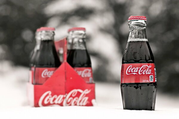 Bottiglie di Coca Cola nella neve