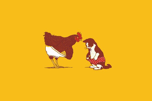 Cock and cat in underpants on a yellow background