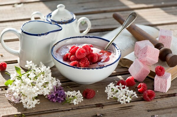 Sie können zu Hause Naturjoghurt aus saurer Sahne und Himbeeren machen, die Sie brauchen