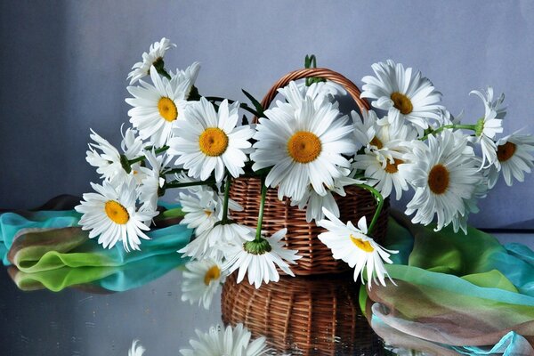 Bouquet of daisies in a knitted basket