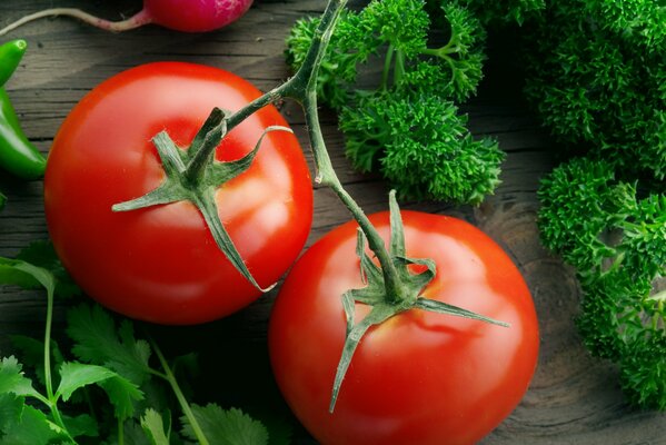 Tomaten auf Zweigen sind am köstlichsten, das ist eine Tomate