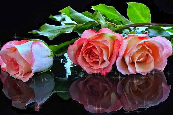 Rosas Rosadas brillantes sobre una mesa negra