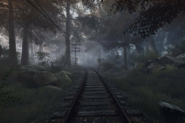 Ferrocarril entre bosques y piedras