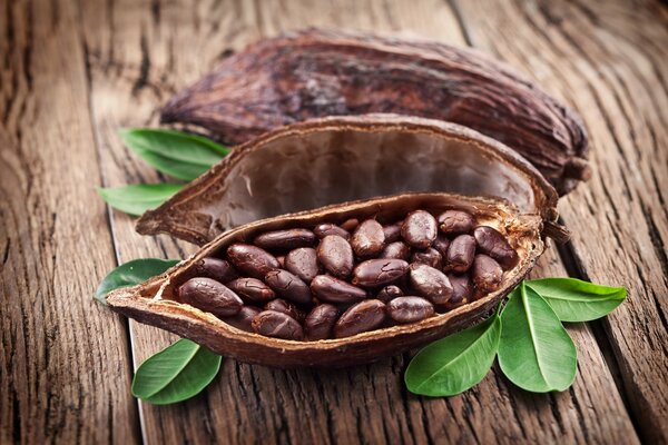 Cocoa beans in half a peel