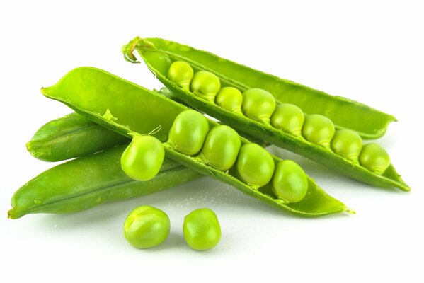 Green pea pods on a white background