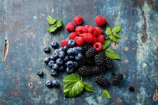 Abbildung von Waldbeeren auf blauem Hintergrund