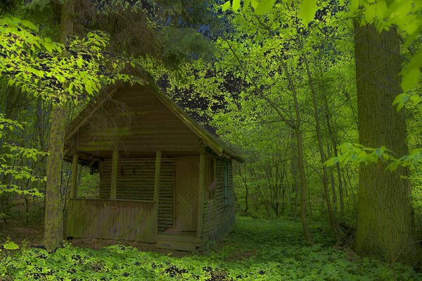 La casa del cazador en los matorrales del bosque