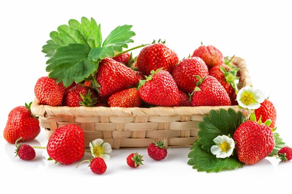 Fraises dans un panier et baies