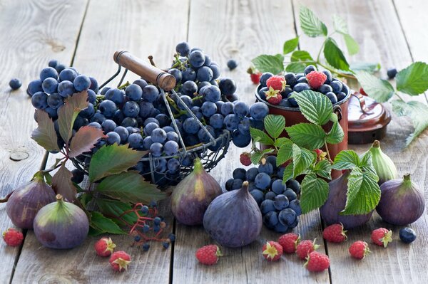 Regalos de otoño, naturaleza muerta de uvas, higos y frambuesas