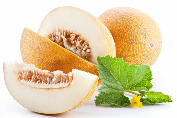 Melone succoso totko dal letto