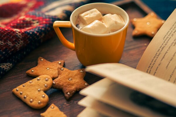 Winterabend. Tasse Kakao mit Buch