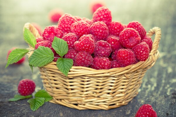 Saftige Himbeeren mit Minze im Korb