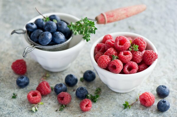 Baies de framboise et de myrtille