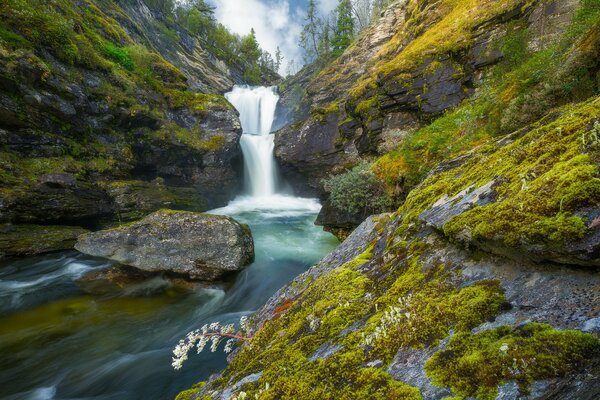 Rocce con cascate nel Parco Nazionale della Norvegia