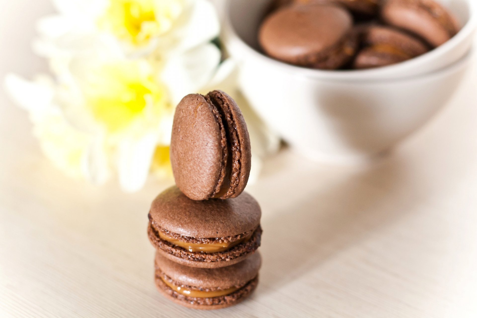 macaron biscuits chocolat dessert bonbons assiette fleurs jonquilles