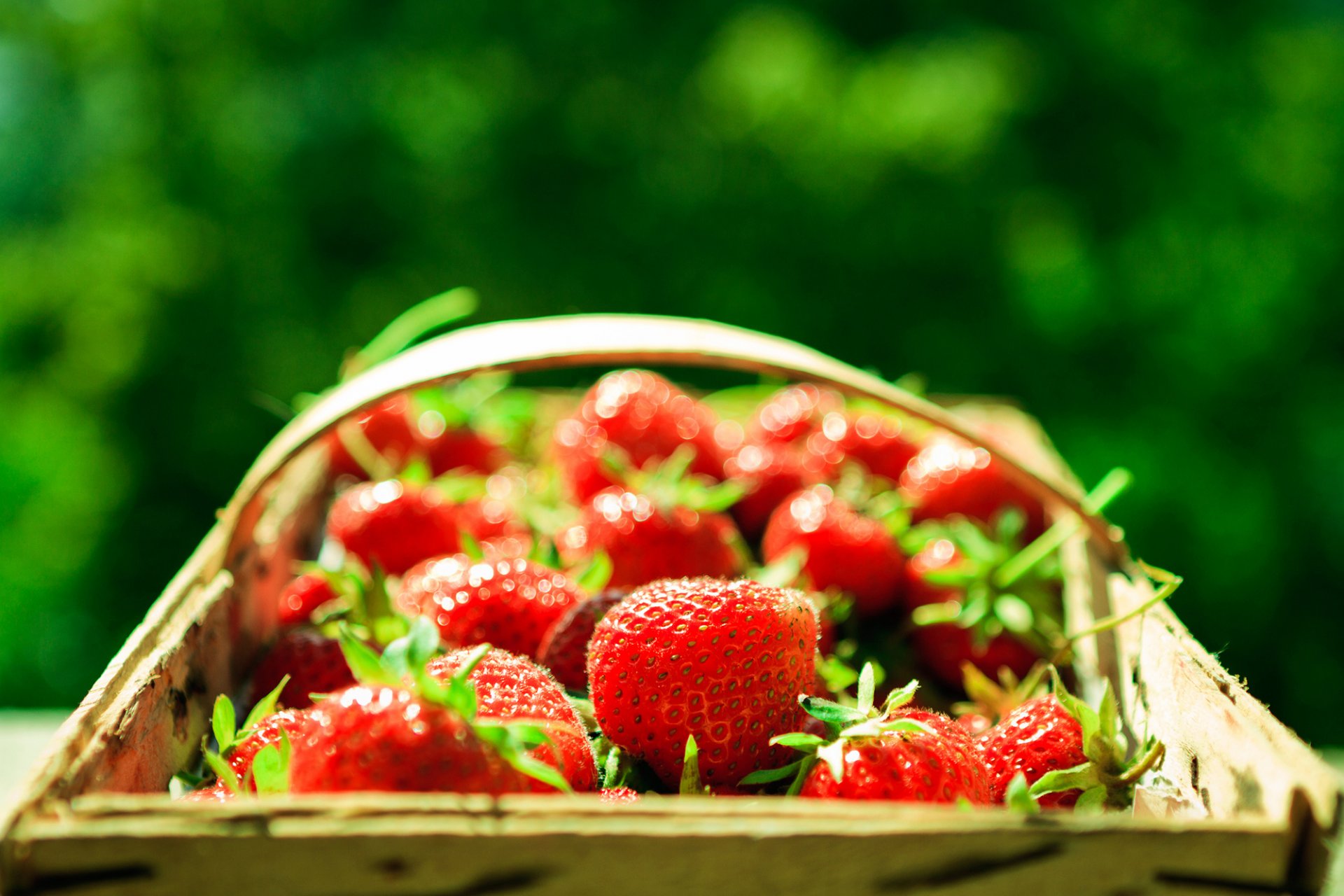 trawberry basket shopping berries red close up background green