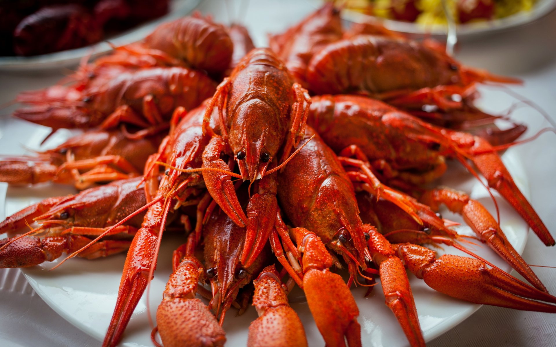 crayfish food close up