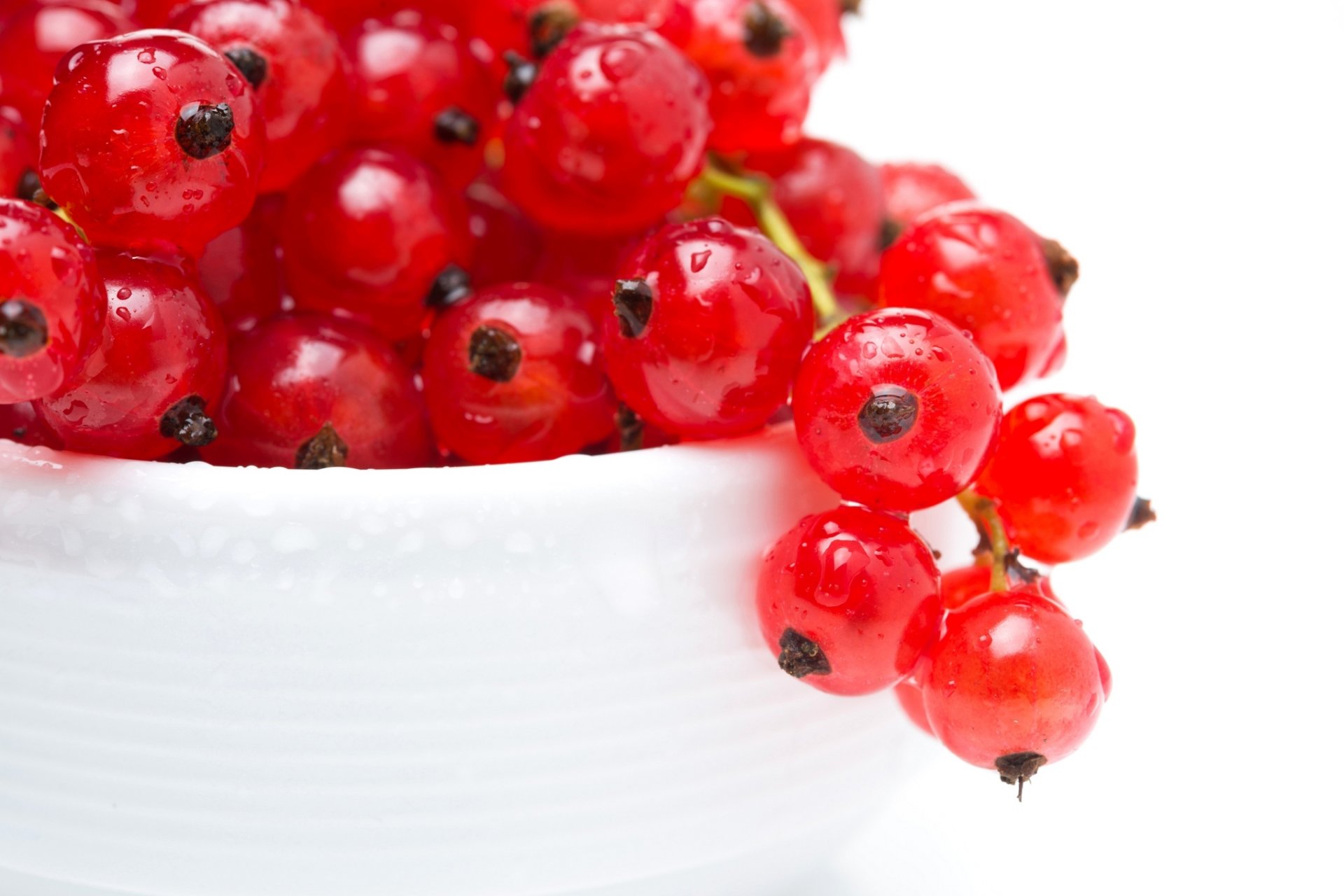 johannisbeere rot beeren makro tropfen teller