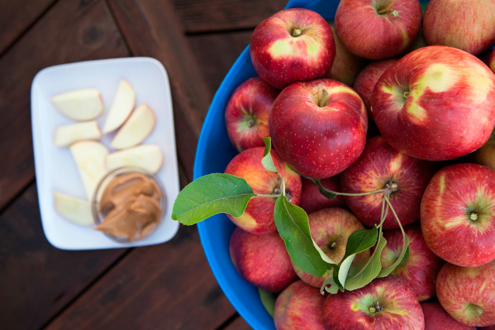 manzanas rojo cosecha