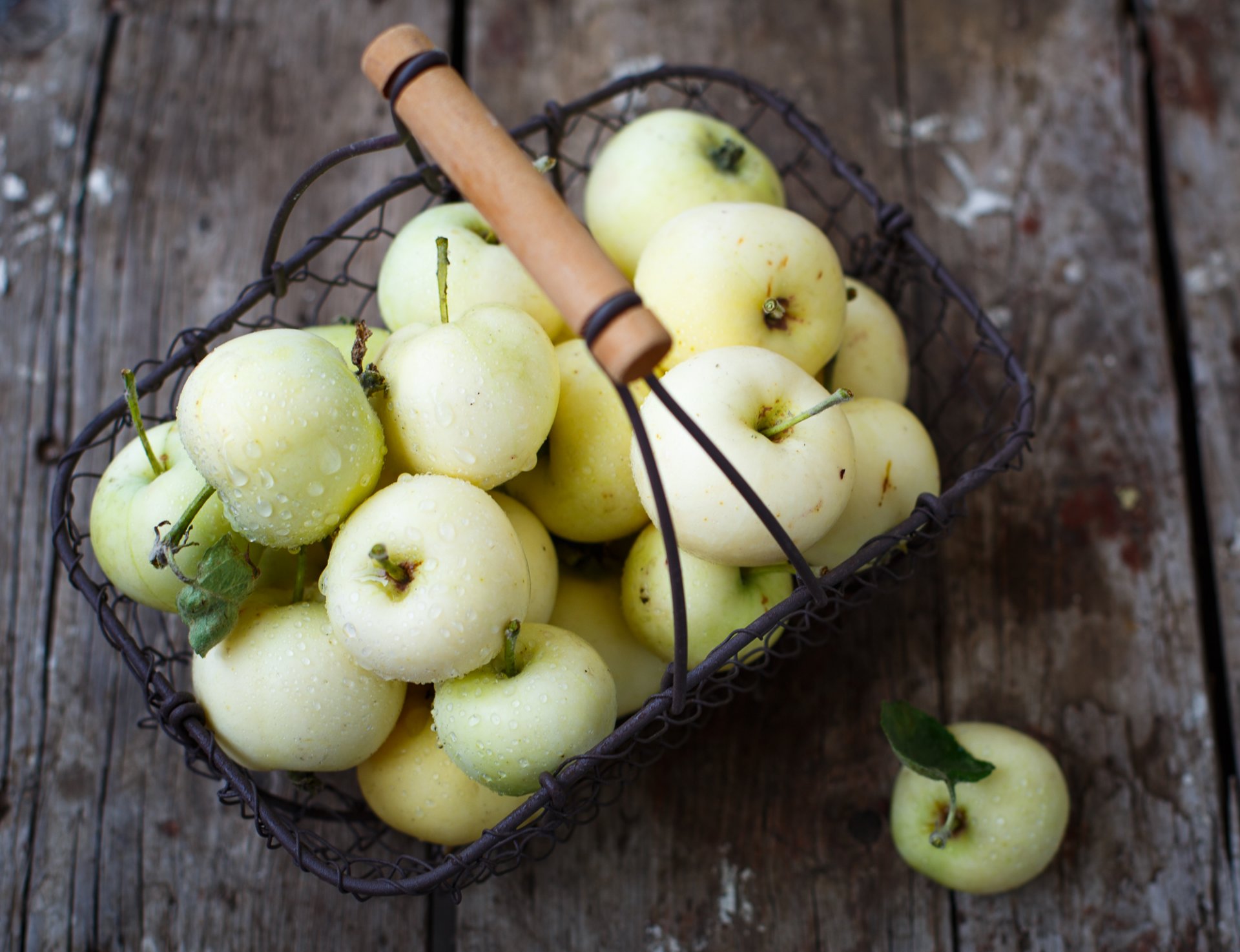 mele frutta cesto raccolto autunno julia husainova