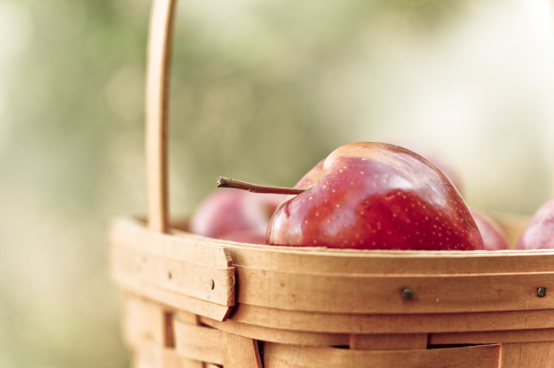 food fruits fruit apple apples red close up shopping basket blur background wallpaper widescreen full screen hd wallpapers fullscreen