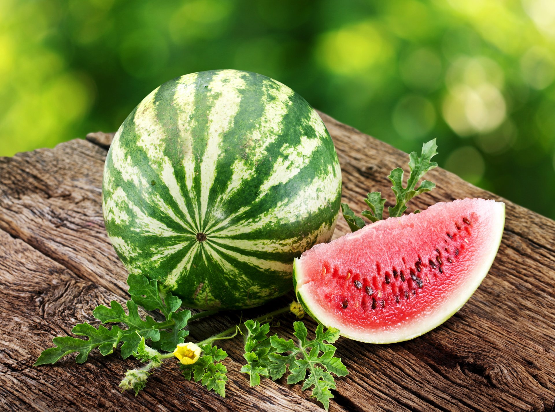 wassermelone fruchtfleisch scheibe tisch sommer