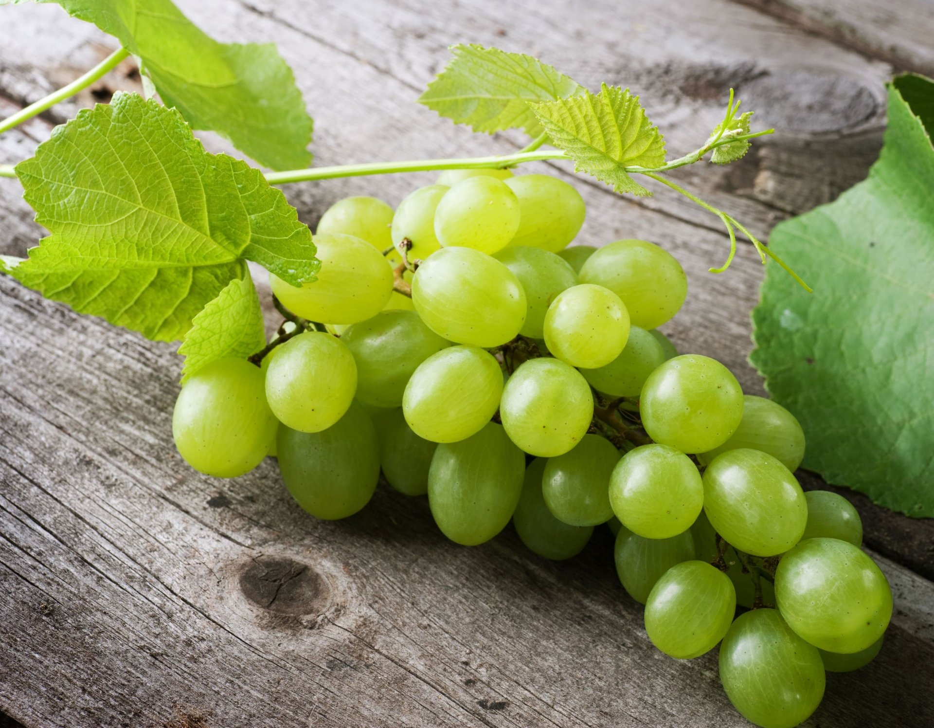 food grapes green berry leaf leaf background wallpaper widescreen fullscreen widescreen widescreen