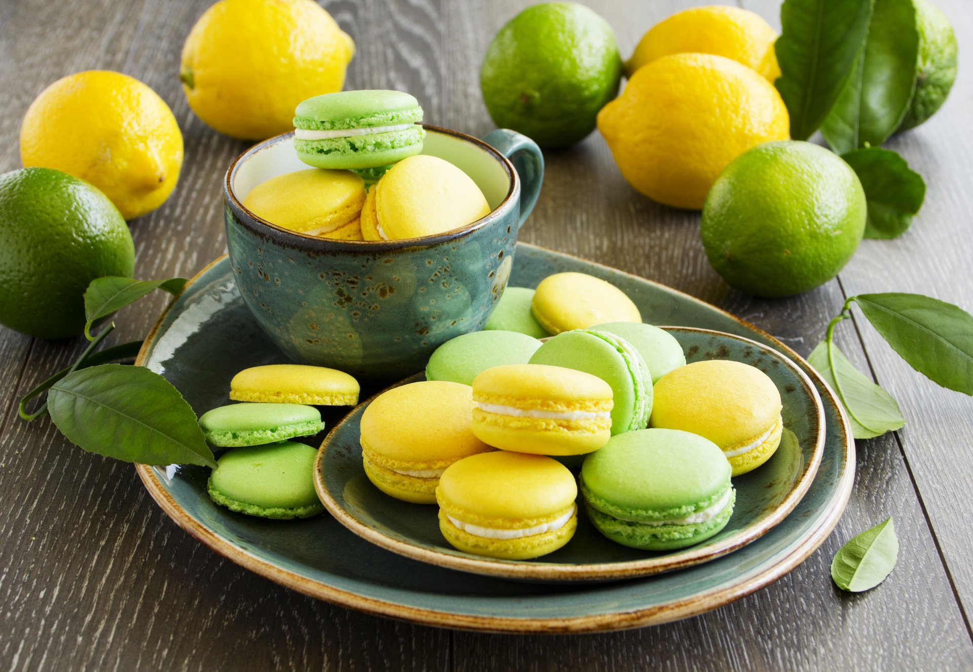 pasta kekse grün gelb limette zitrone zitrusfrüchte obst dessert tasse teller