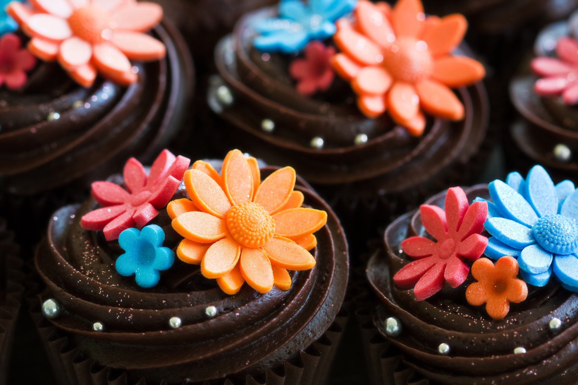 cupcake crème chocolat brownie décoration fleurs bonbons dessert