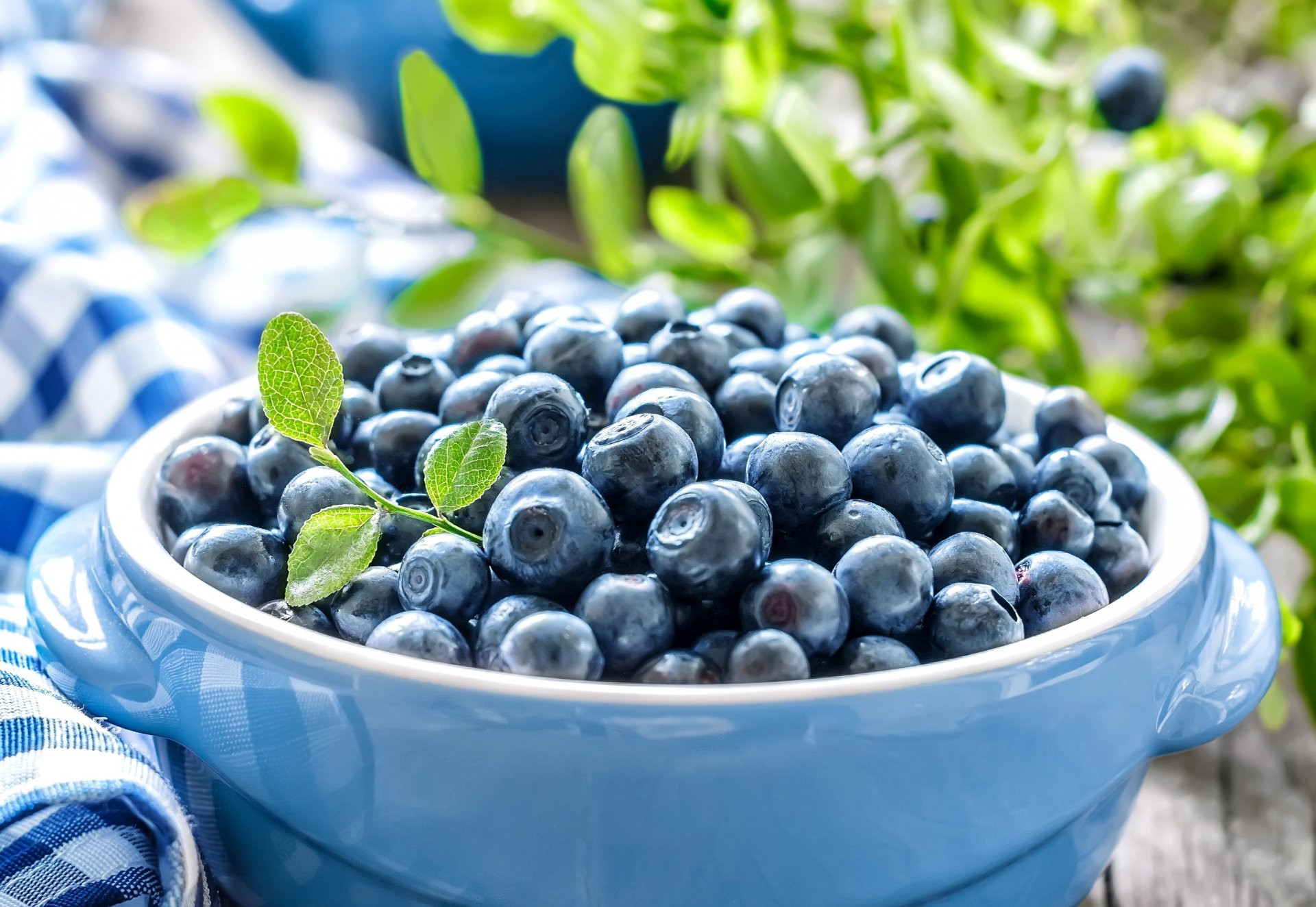 heidelbeeren blaubeeren beeren blätter geschirr