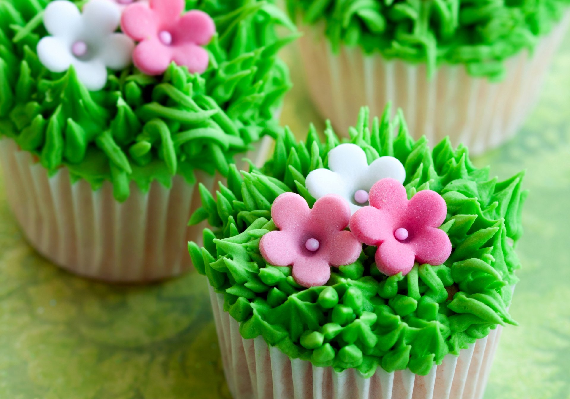 gâteaux muffins crème herbe fleurs doux dessert