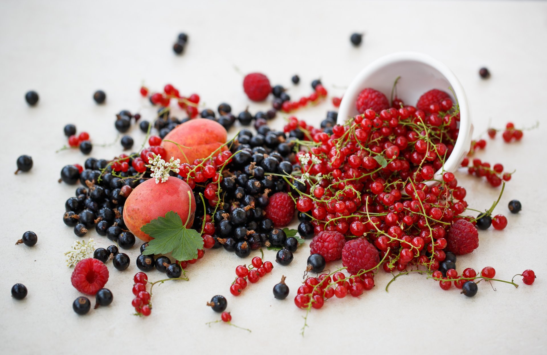 ribes rosso nero lampone bacche frutta nettarina julia husainova