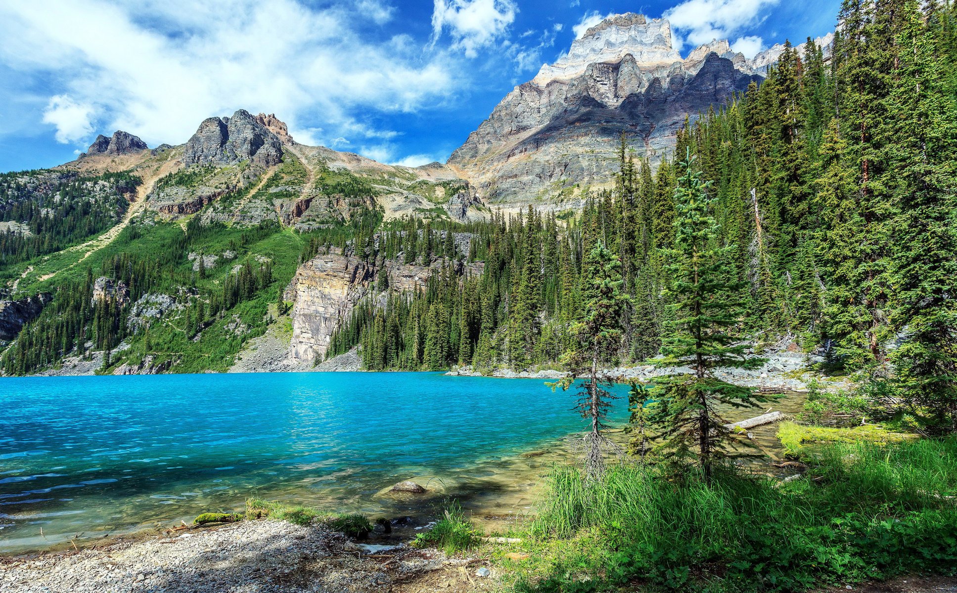 yoho national park canada park mountains lake forest landscape nature